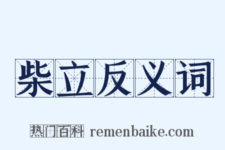 柴立反义词是什么意思的图片